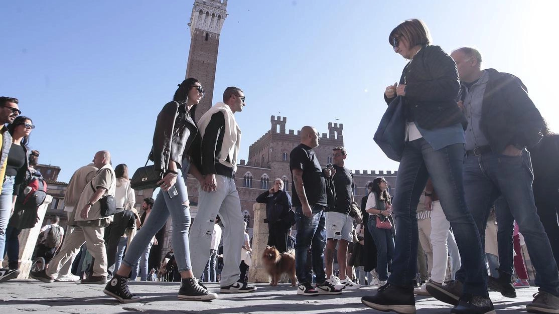 Affitti brevi: oggi sono registrate 912 unità; le tariffe variano a seconda della zona, della tipologia di immobile e della stagionalità Affitti brevi: oggi sono registrate 912 unità; le tariffe variano a seconda della zona, della tipologia di immobile e della stagionalità