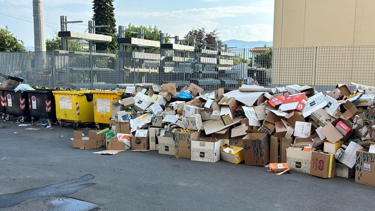 L’assessore replica alle critiche dei consiglieri. "Ma la differenziata sfiora comunque l’80 per cento" L’assessore replica alle critiche dei consiglieri. "Ma la differenziata sfiora comunque l’80 per cento"