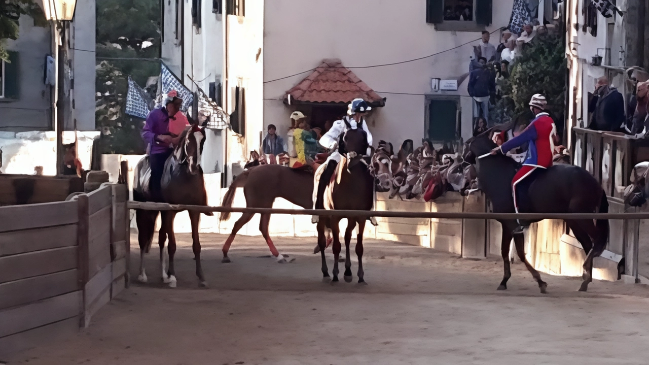 Il Palio di Castel del Piano Il Palio di Castel del Piano