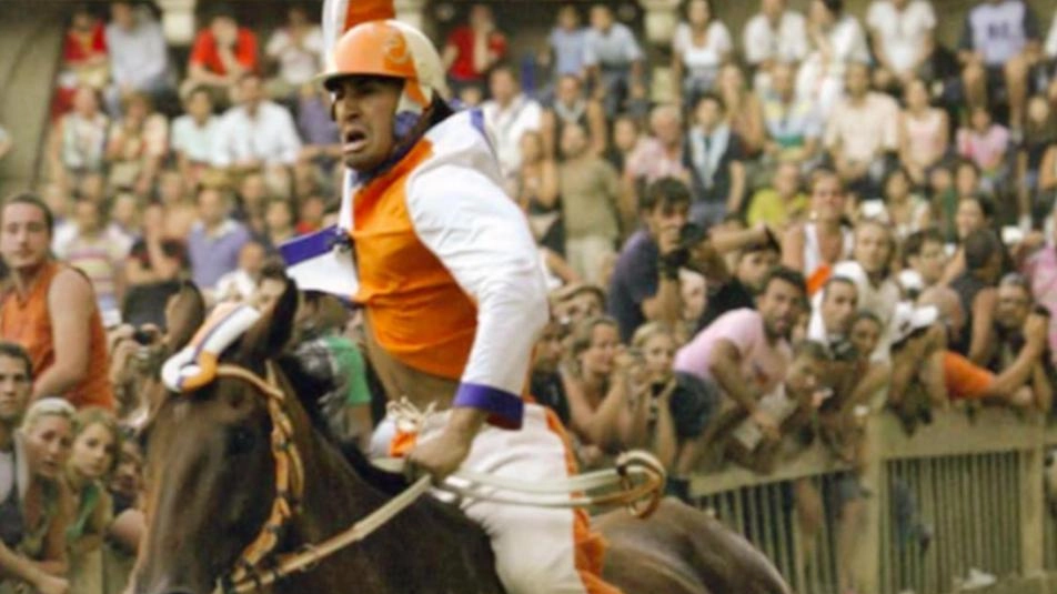 Jonatan Bartoletti, in arte Scompiglio, 30 Palii corsi finora e 5 vittorie, tre di fila Jonatan Bartoletti, in arte Scompiglio, 30 Palii corsi finora e 5 vittorie, tre di fila