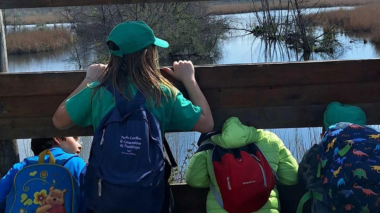 Legambiente, Italia Nostra e Wwf scrivono ai Comuni di Montignoso e Pietrasanta. Chiedono di cancellare le tracce della proprietà privata con la revisione dei documenti. Legambiente, Italia Nostra e Wwf scrivono ai Comuni di Montignoso e Pietrasanta. Chiedono di cancellare le tracce della proprietà privata con la revisione dei documenti.