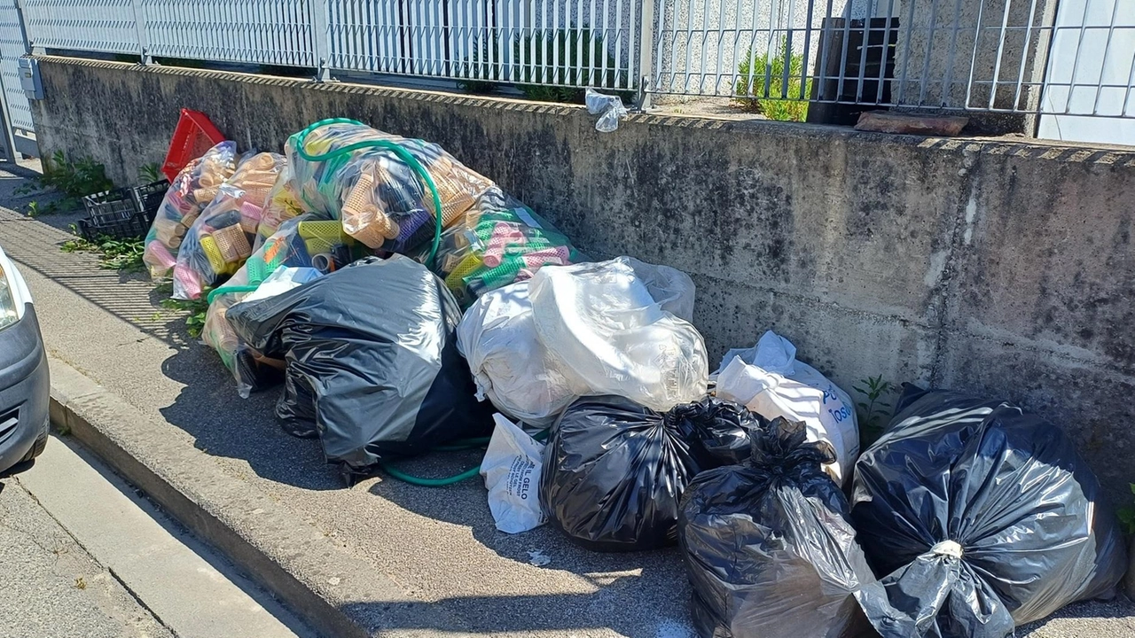 L’abbandono. incontrollato di rifiuti in via Guido Rossa. a Comeana