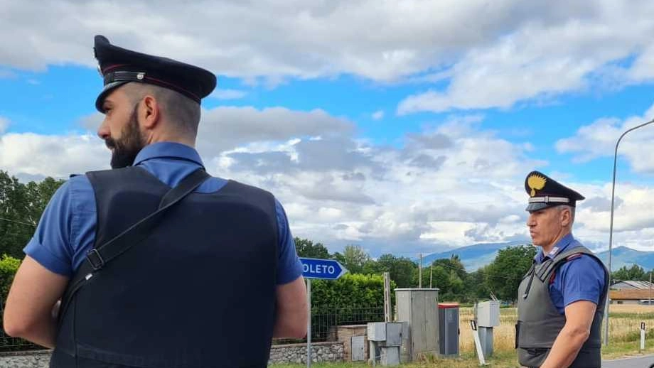 Tempestivo l’intervento dei. carabinieri dopo la segnalazione di un furgone sospetto Tempestivo l’intervento dei. carabinieri dopo la segnalazione di un furgone sospetto