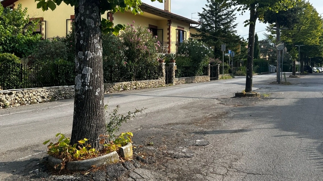 A Sarteano partono le asfaltature di vie e marciapiedi A Sarteano partono le asfaltature di vie e marciapiedi