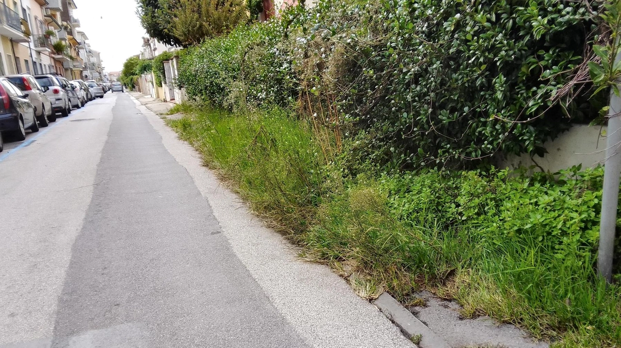 I marciapiedi inutilizzabili di via De Amicis (in alto) e via Durazzo (a fianco): i residenti chiedono interventi urgenti I marciapiedi inutilizzabili di via De Amicis (in alto) e via Durazzo (a fianco): i residenti chiedono interventi urgenti