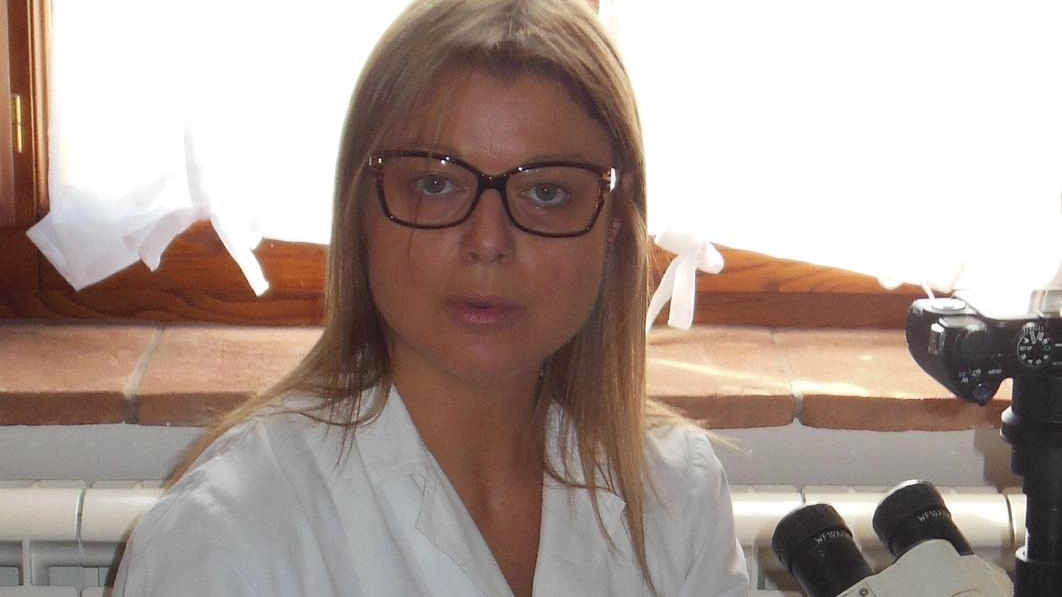 Torna 'Il mio naso ribelle': visite gratuite per riconoscere e trattare le raffreddori cronici e le riniti non allergiche cellulari. Appuntamenti al 388 18.84.052. Torna 'Il mio naso ribelle': visite gratuite per riconoscere e trattare le raffreddori cronici e le riniti non allergiche cellulari. Appuntamenti al 388 18.84.052.