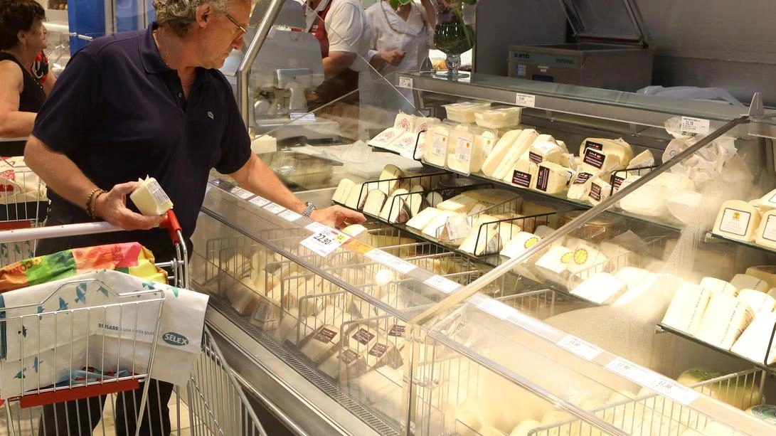Vietina (Lucca è un grande noi) e Tetti (Avs) criticano pesantemente le scelta di aprire una punto vendita della media distribuzione nella storica strada: "Rischia di alterare l’equilibrio commerciale". Vietina (Lucca è un grande noi) e Tetti (Avs) criticano pesantemente le scelta di aprire una punto vendita della media distribuzione nella storica strada: "Rischia di alterare l’equilibrio commerciale".
