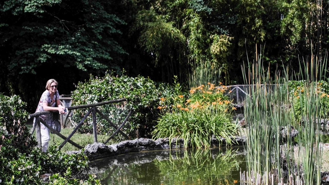 Il parco romantico in stile inglese fu precursore e modello di viale dei Colli. Acquisito nel 1967 dallo Stato, dal 2015 è del polo museale della Toscana. Il parco romantico in stile inglese fu precursore e modello di viale dei Colli. Acquisito nel 1967 dallo Stato, dal 2015 è del polo museale della Toscana.