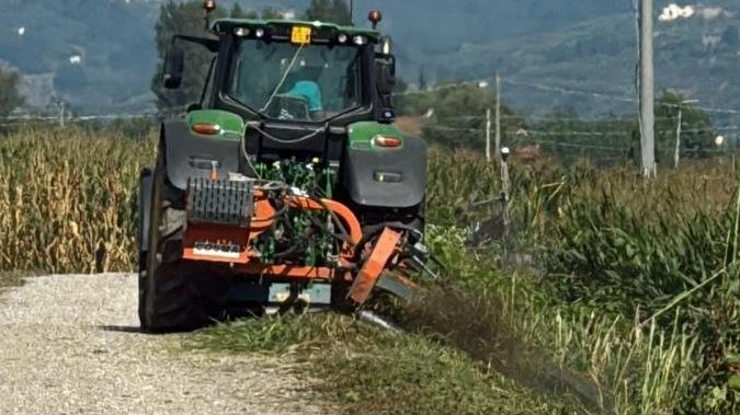 "Sono partiti giovedì scorso gli interventi di manutenzione nel cratere palustre del Padule di Fucecchio". Lo annuncia il Consorzio di... "Sono partiti giovedì scorso gli interventi di manutenzione nel cratere palustre del Padule di Fucecchio". Lo annuncia il Consorzio di...