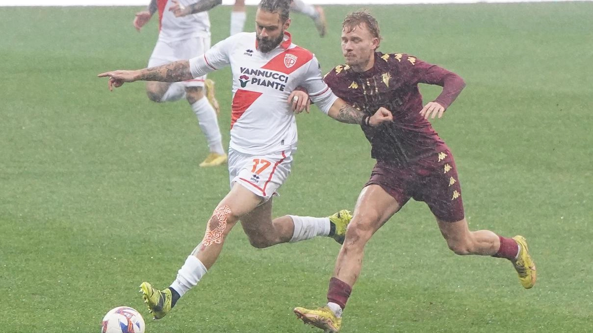 Lorenzo Polvani nella passata stagione ha giocato 30 partite Lorenzo Polvani nella passata stagione ha giocato 30 partite