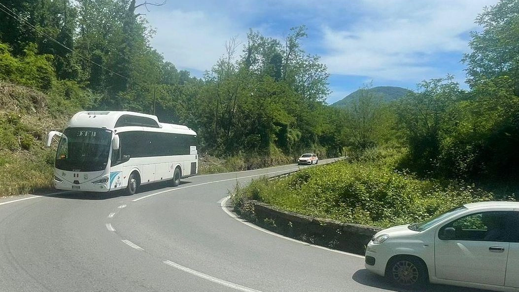 Presentati progetto e cronoprogramma dell’intervento curato da Anas. Giampedrone: "L’adeguamento della statale era atteso da decenni". Presentati progetto e cronoprogramma dell’intervento curato da Anas. Giampedrone: "L’adeguamento della statale era atteso da decenni".