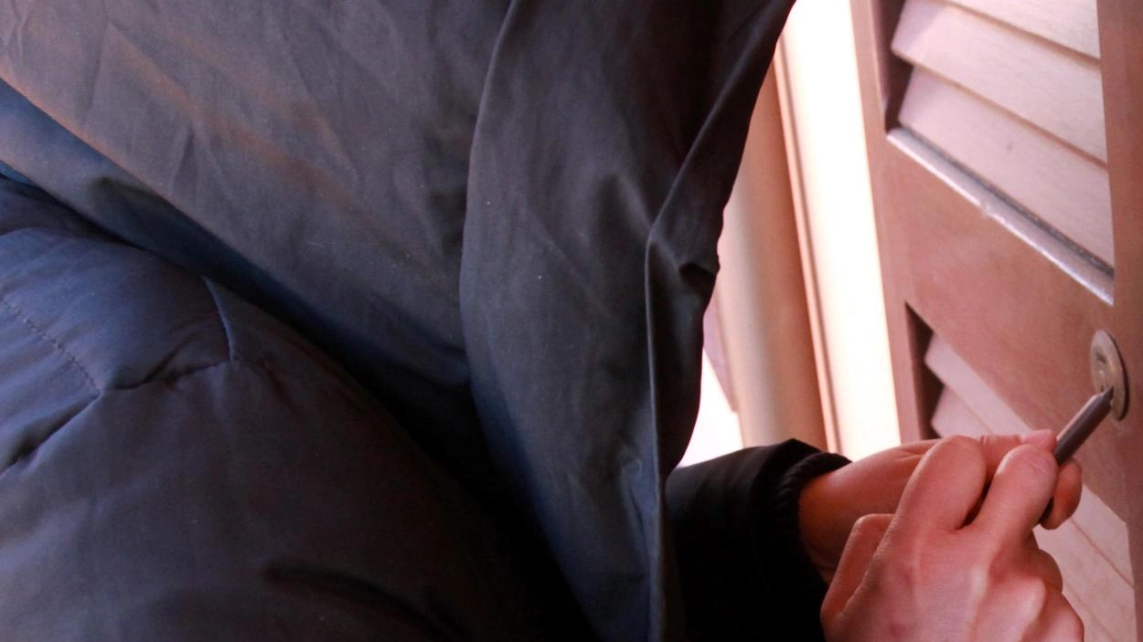 Operazione dei carabinieri che hanno riportato alla luce un bottino di oltre 100mila euro. La scoperta della ’cassaforte’ dei ladri trasfertisti scoperta dopo l’arresto della banda . Operazione dei carabinieri che hanno riportato alla luce un bottino di oltre 100mila euro. La scoperta della ’cassaforte’ dei ladri trasfertisti scoperta dopo l’arresto della banda .