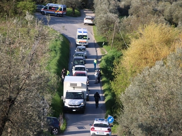 immagine articolo