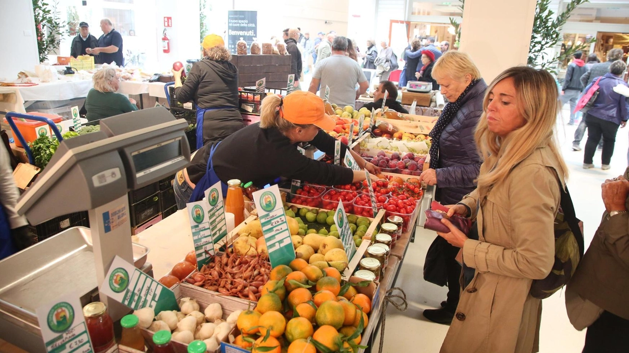 Da venerdì 17 gennaio il mercato si sposterà in via Ferraris Da venerdì 17 gennaio il mercato si sposterà in via Ferraris