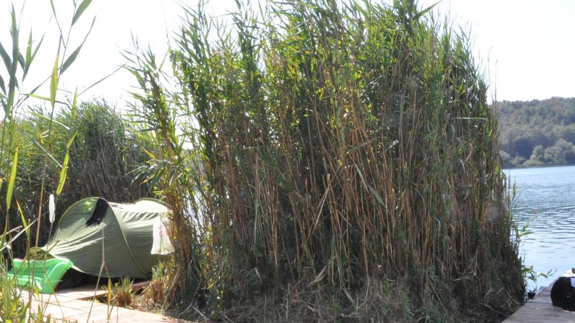 Focus sul lago dell’Accesa. Lettera a Marconi e Giani: "Area da tutelare di più"