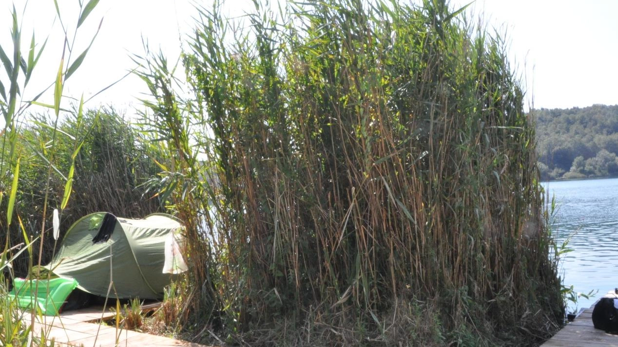 Torna l’attenzione sul lago dell’Accesa, anche dopo la tragedia che si è consumata lì il primo maggio scorso Torna l’attenzione sul lago dell’Accesa, anche dopo la tragedia che si è consumata lì il primo maggio scorso