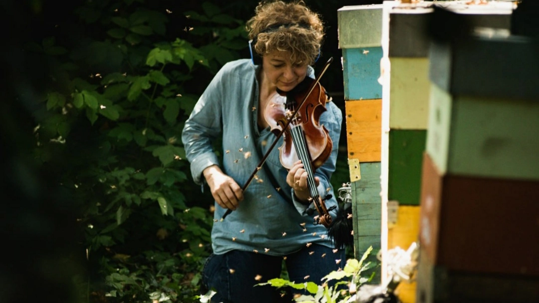 Ensemble Tobees Ensemble Tobees