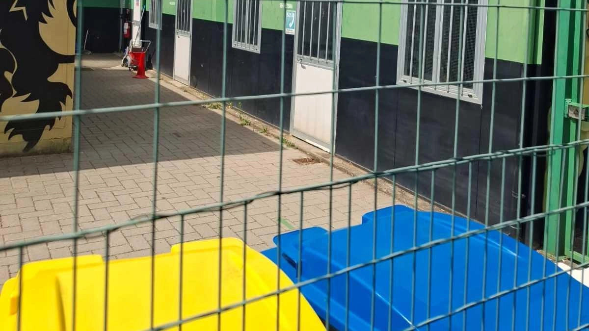 Per quanto riguarda lo sport a San Gimignano ci sono spiragli di nuova luce. Meno male. Infatti tutto...