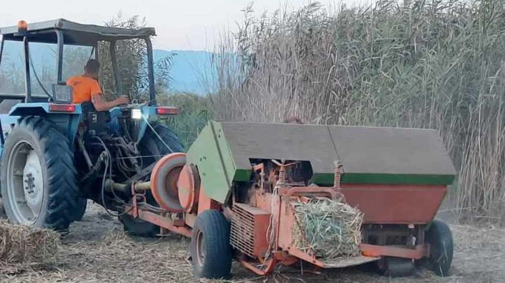 La delibera della Regione permette lo sfalcio delle aree contigue ai’chiari’ destinati alla caccia La delibera della Regione permette lo sfalcio delle aree contigue ai’chiari’ destinati alla caccia