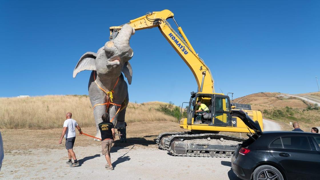 I mammut sono tornati a casa: "Qui passarono gli antichi elefanti" I mammut sono tornati a casa: "Qui passarono gli antichi elefanti"