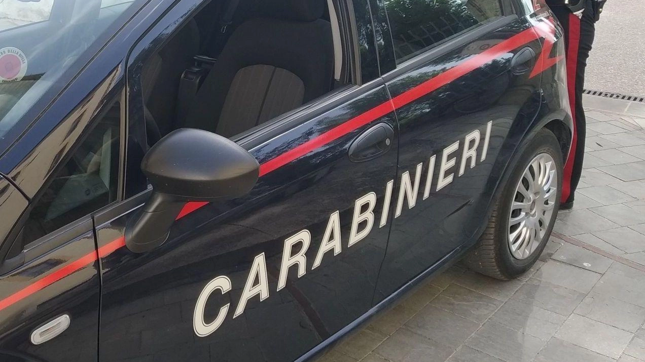 I carabinieri hanno individuato e fermato i tre presunti ladri dopo che avevano tentato la fuga in macchina: il bottino (900 euro di prodotti) è stato restituito I carabinieri hanno individuato e fermato i tre presunti ladri dopo che avevano tentato la fuga in macchina: il bottino (900 euro di prodotti) è stato restituito
