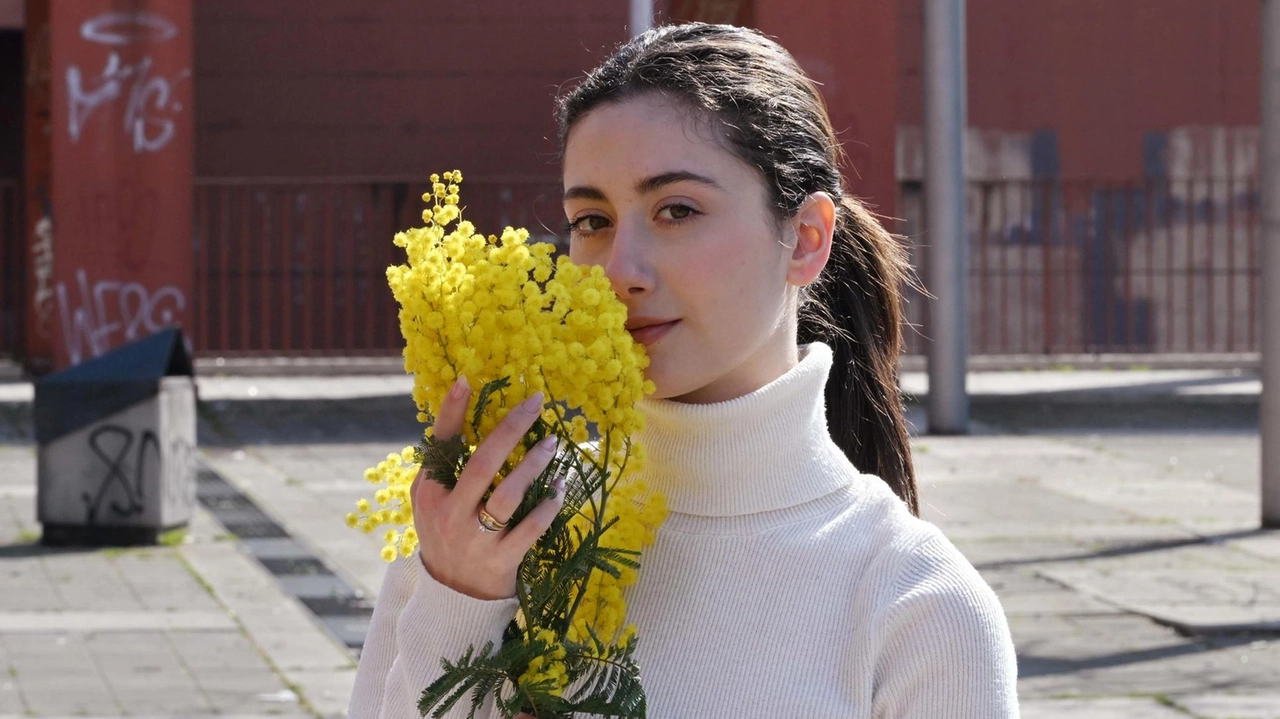 Cinquecento mimose saranno distribuite da una squadra di otto ragazzi in vari punti del centro cittadino per festeggiare tutte le donne di Montecatini Cinquecento mimose saranno distribuite da una squadra di otto ragazzi in vari punti del centro cittadino per festeggiare tutte le donne di Montecatini