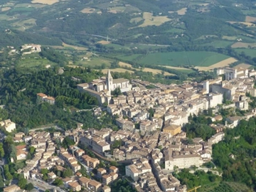 immagine articolo