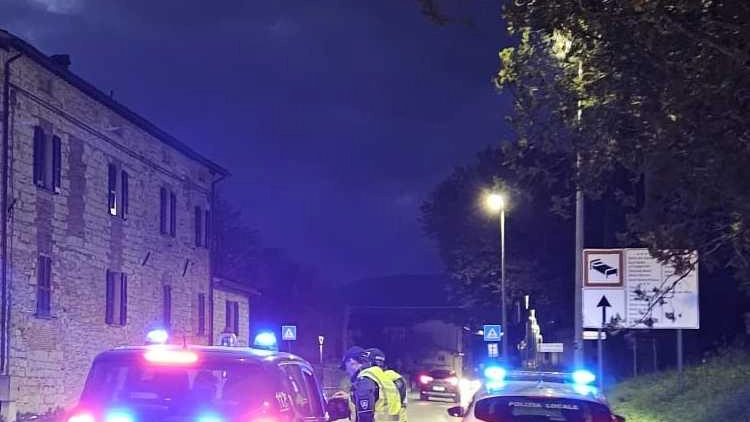 Sicurezza: prima operazione interforze sul territorio dopo il vertice con il prefetto Sicurezza: prima operazione interforze sul territorio dopo il vertice con il prefetto