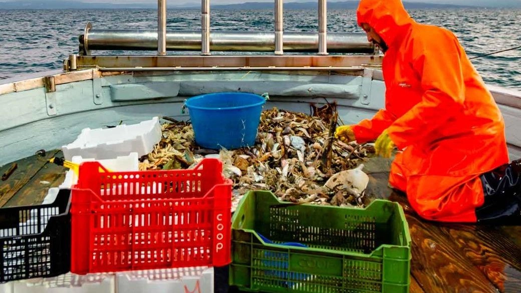 Obiettivi del Galpa sono: promuovere competitività, innovazione sostenibile e. valorizzazione dei prodotti del mare Obiettivi del Galpa sono: promuovere competitività, innovazione sostenibile e. valorizzazione dei prodotti del mare