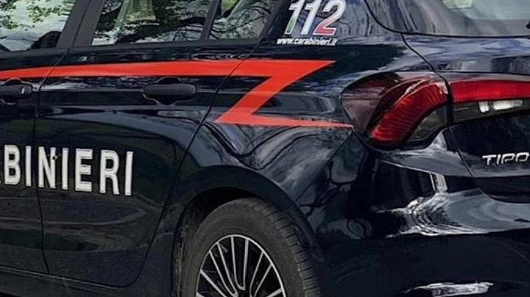 I carabinieri I carabinieri