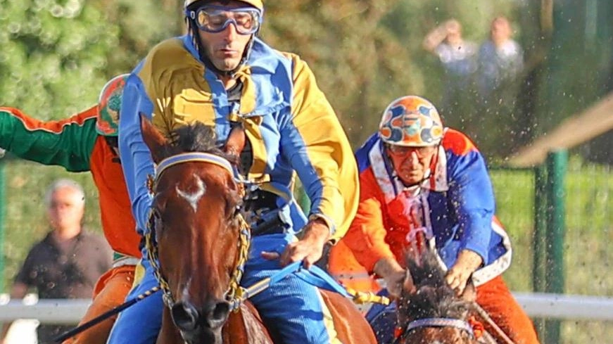Il Palio delle Contrade ’Città di Fucecchio’ avrà alla guida ancora Nicolò Luca Cannella Il Palio delle Contrade ’Città di Fucecchio’ avrà alla guida ancora Nicolò Luca Cannella