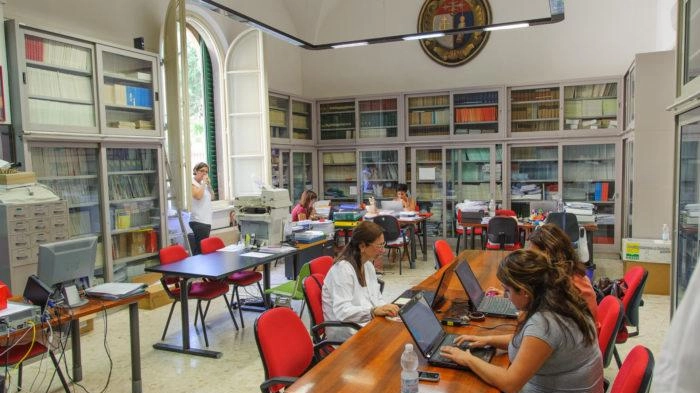 Tra 40 facoltà prese in esame, la scuola medica pisana si classifica al 28° posto Tra 40 facoltà prese in esame, la scuola medica pisana si classifica al 28° posto