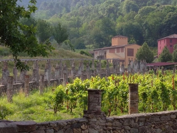 immagine articolo