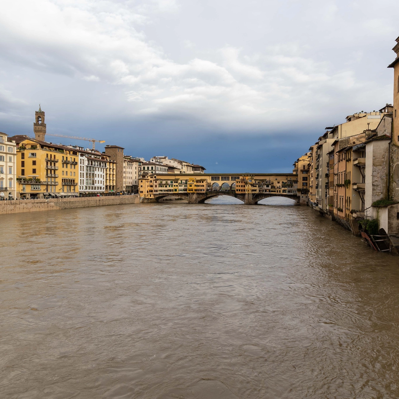 L'Arno a Firenze il 15 marzo 2025 - (Foto Giuseppe Cabras / New Press Photo)