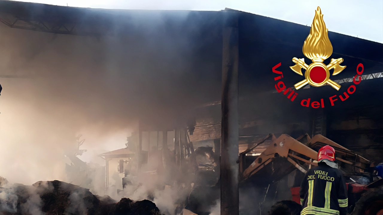 Un rogo notturno ha distrutto rotoballe e attrezzature in un'azienda agricola vicino a Borgo San Lorenzo. L'intervento tempestivo dei vigili del Fuoco ha evitato danni maggiori. Incendi di rotoballe non rari nella zona. Un rogo notturno ha distrutto rotoballe e attrezzature in un'azienda agricola vicino a Borgo San Lorenzo. L'intervento tempestivo dei vigili del Fuoco ha evitato danni maggiori. Incendi di rotoballe non rari nella zona.