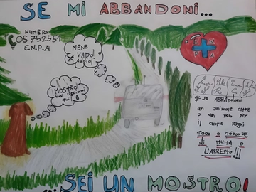 immagine articolo