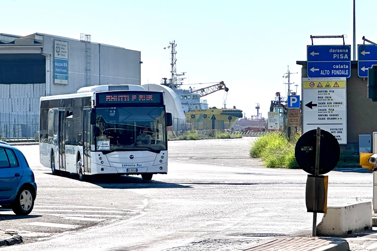 Livorno, l'incidente mortale al porto è avvenuto nel primo pomeriggio di martedì 12 agosto (Foto Novi)