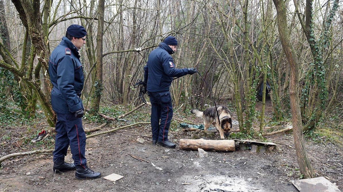 Carabinieri durante un controllo nel bosco (foto d’archivio)