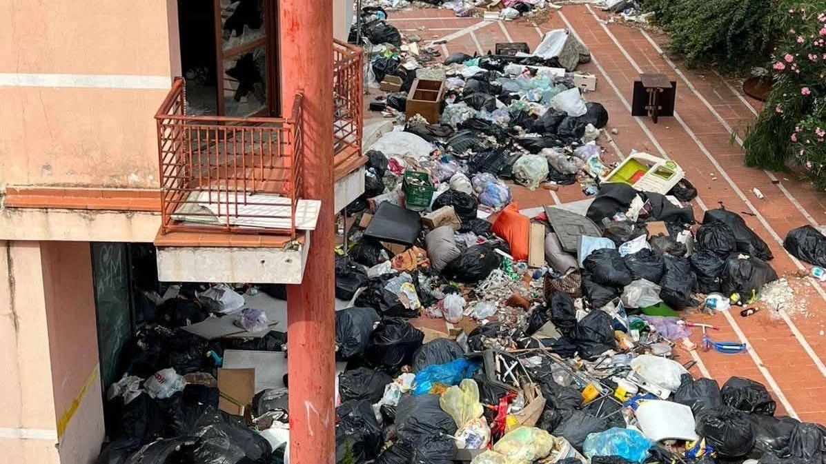 I cumuli di rifiuti abbandonati che stanno crescendo intorno al palazzo rosa. Una nuova emergenza che torna a creare polemiche I cumuli di rifiuti abbandonati che stanno crescendo intorno al palazzo rosa. Una nuova emergenza che torna a creare polemiche