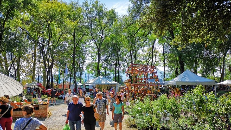 L’amore per le piante torna protagonista a Lucca con la 24esima edizione di Murabilia: la mostra mercato del giardinaggio di... L’amore per le piante torna protagonista a Lucca con la 24esima edizione di Murabilia: la mostra mercato del giardinaggio di...