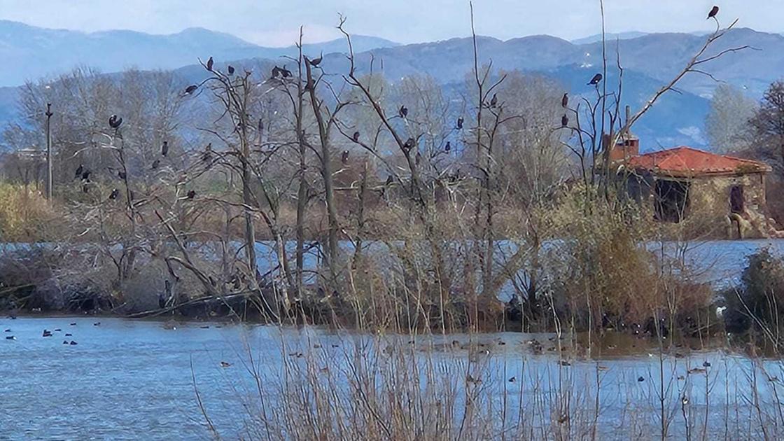 Paradiso a pochi passi da scuola. Il lago della Gherardesca