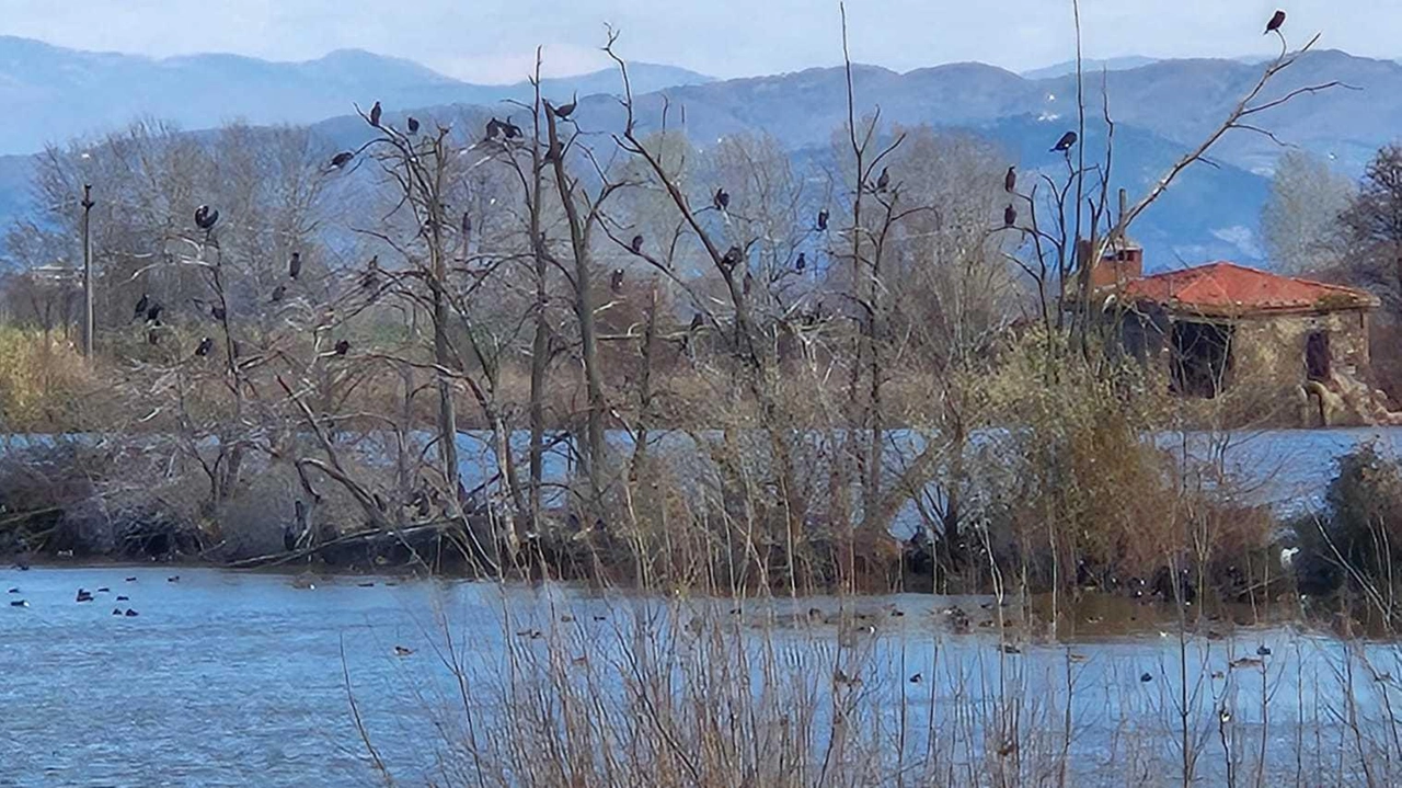 Una foto del lago situato nella zona del Compitese (Capannori)