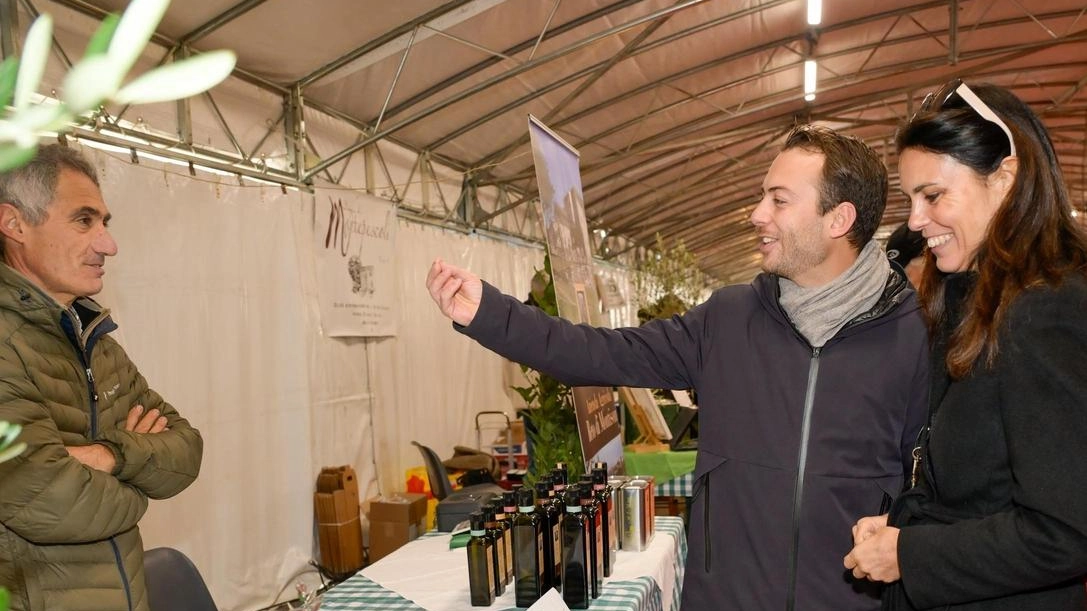 La città si accende con la rassegna dedicata all’extravergine. Pignotti: "Bagno a Ripoli un riferimento per l’olio" . La città si accende con la rassegna dedicata all’extravergine. Pignotti: "Bagno a Ripoli un riferimento per l’olio" .