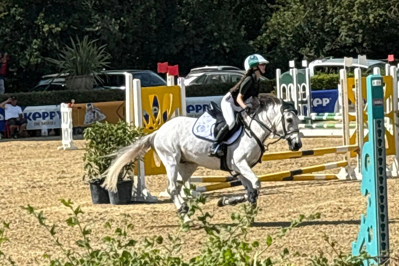 Un momento delle Ponyadi 2024. La manifestazione, con piccoli concorrenti da tutta Italia, si svolge a Arezzo