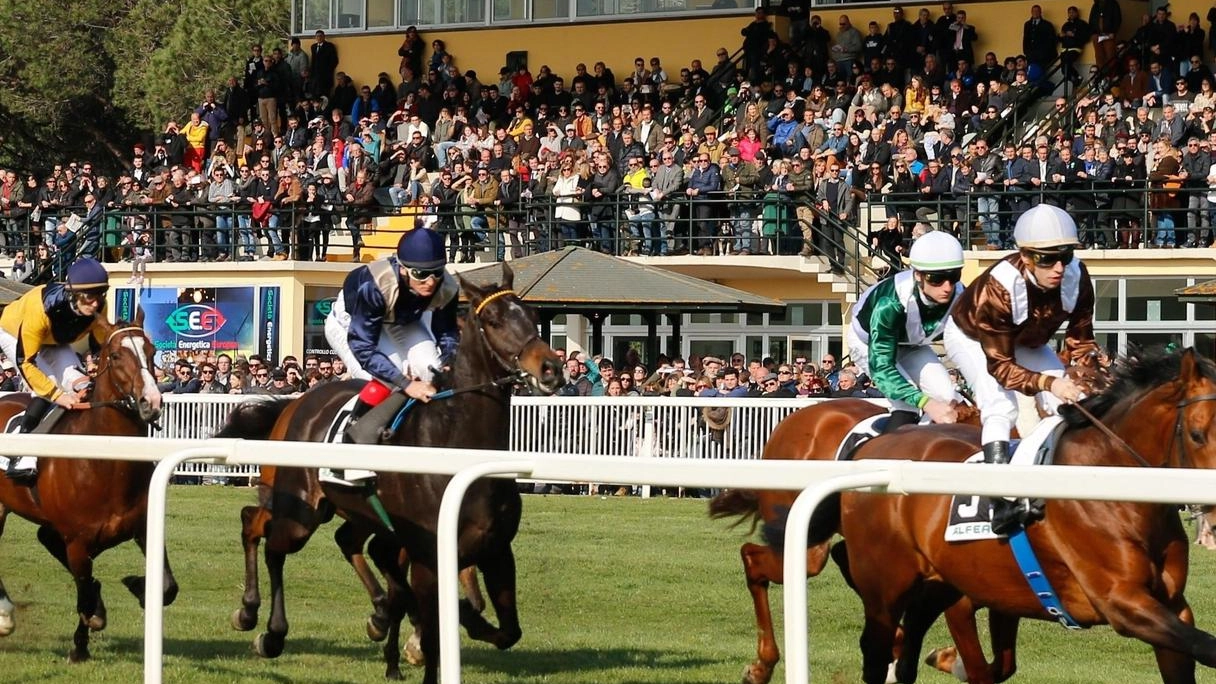 Finale d’anno. foriero di buone notizie per l’ippodromo di San Rossore Finale d’anno. foriero di buone notizie per l’ippodromo di San Rossore