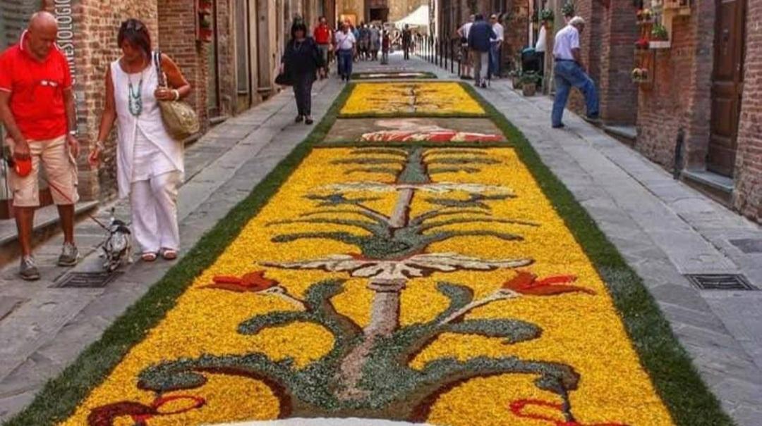 https://www.lanazione.it/image-service/view/acePublic/alias/contentid/MTQwODM3YWMtNDZlYy00/0/infiorata-foto-di-repertorio.jpeg