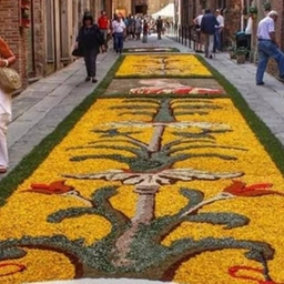 12 giugno, a Città della Pieve torna l’Infiorata: una tradizione lunga 60 anni