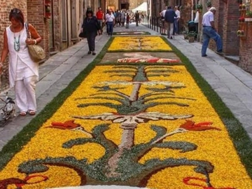 immagine articolo