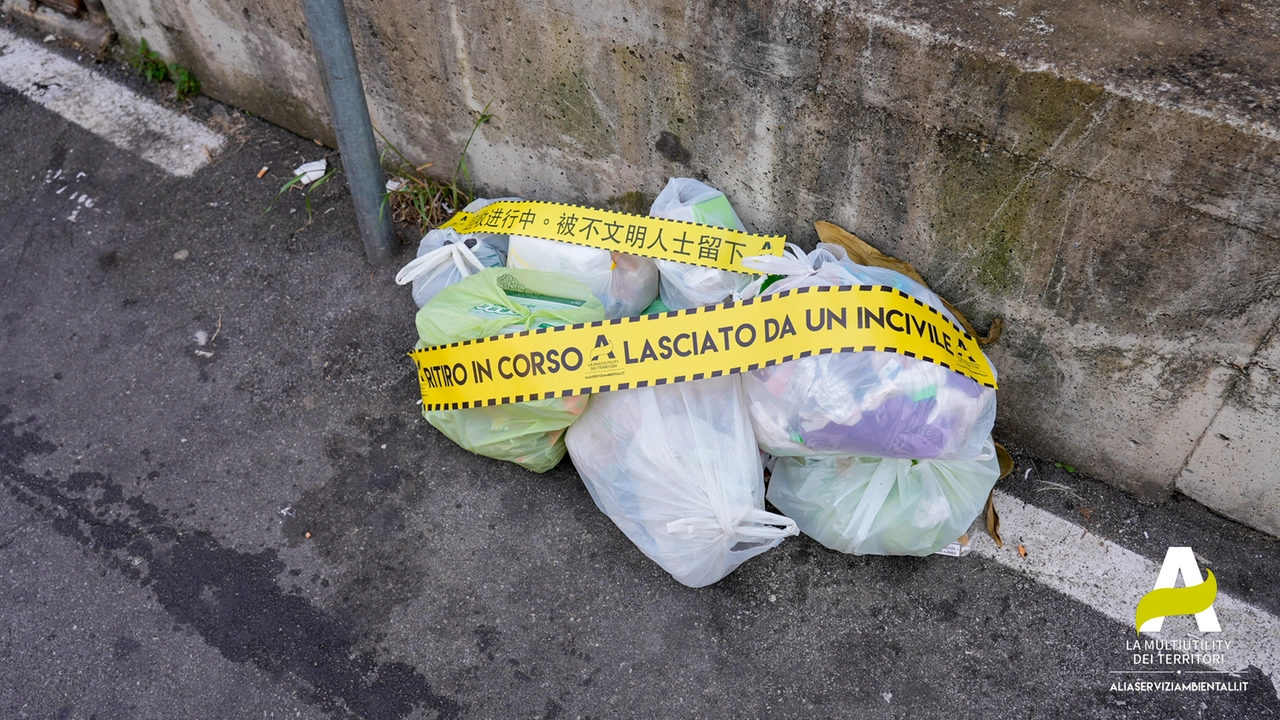 immagine di sfondo 3
