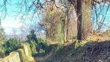 Iniziati i lavori di riqualificazione di via dei Chiassarelli per realizzare un percorso ciclopedonale che collega Massa Marittima a Ghirlanda.... Iniziati i lavori di riqualificazione di via dei Chiassarelli per realizzare un percorso ciclopedonale che collega Massa Marittima a Ghirlanda....